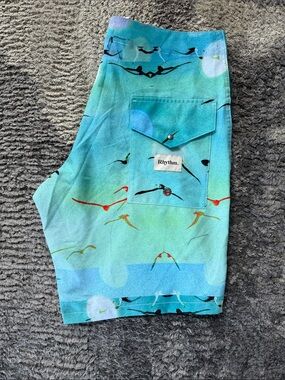 Rhythm Oblivion Swim Trunk